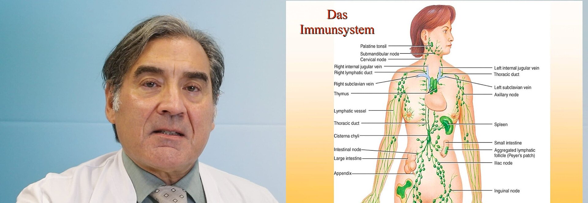 Vortrag Prof. Flieger