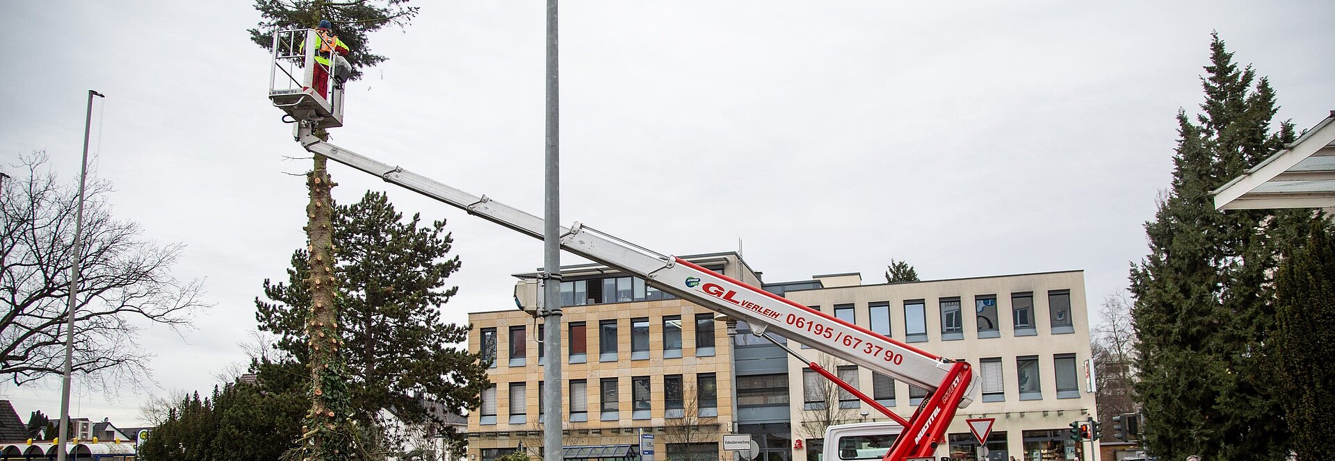 Reste der Tanne vor dem Haupteingang