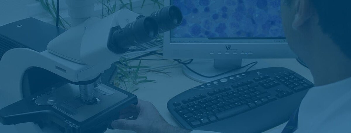 Button Studienambulanz